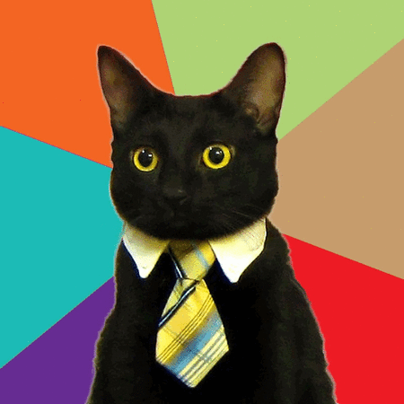 a gif of a professional cat ready to conduct business